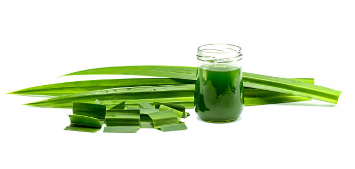 pasta daun suji detail